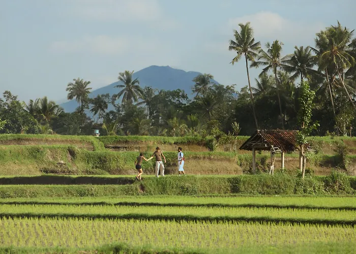 Villa Furama & Ubud *
